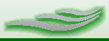 corte003006.jpg